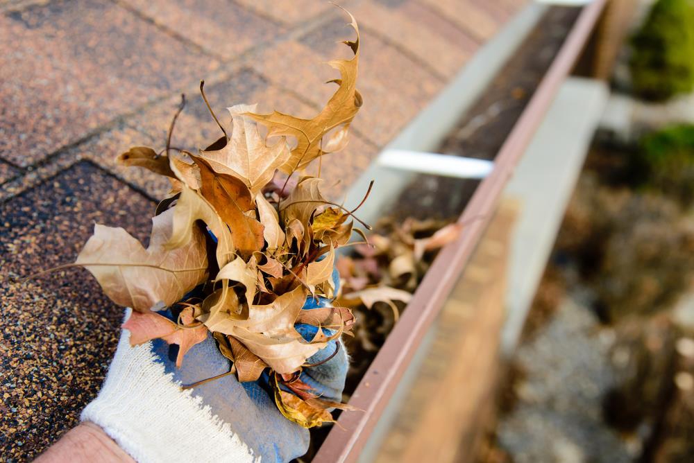 Professional Gutter Cleaning Leasingham