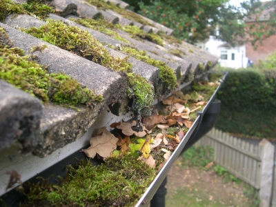 Professional Gutter Cleaning Dunston